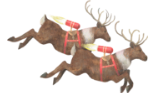 トナカイ