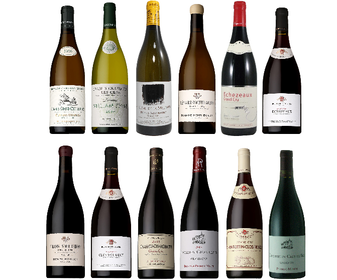 ブルゴーニュ特級畑 生産者別12本セット