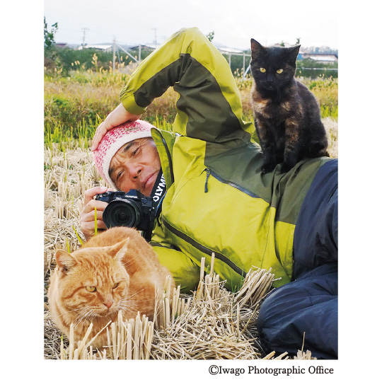 岩合光昭写真展 こねこ 名古屋栄三越 三越 店舗情報