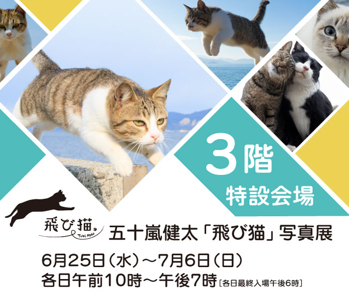 メインバナー