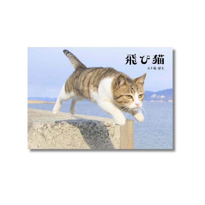 飛び猫写真集