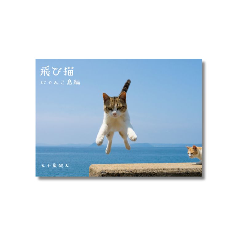 飛び猫にゃんこ島編写真集