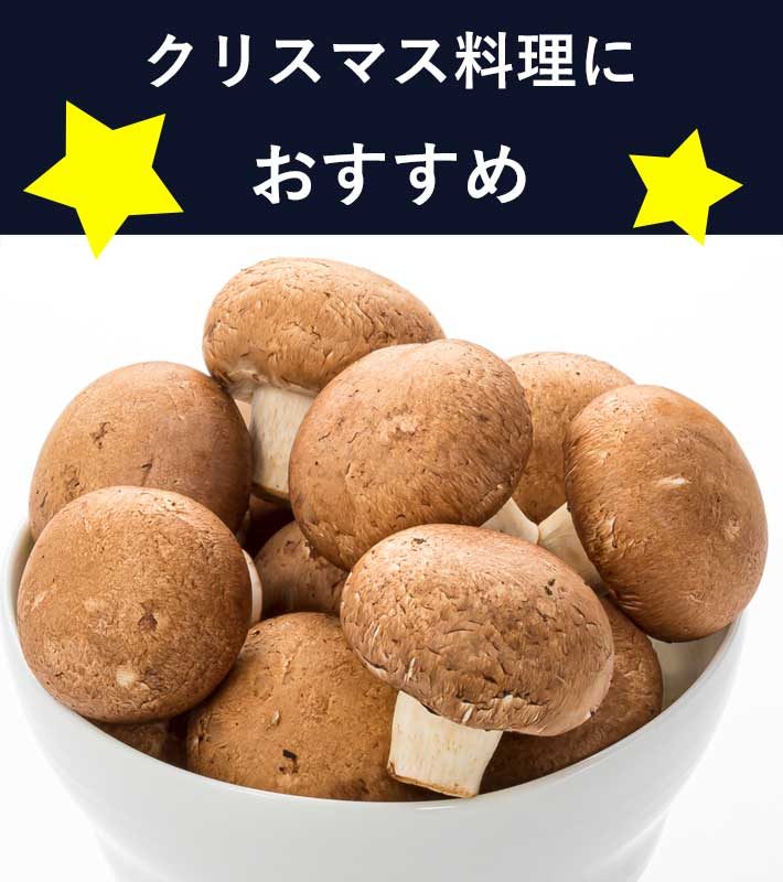 item-list__bg-img