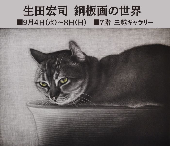 ショップニュース画像