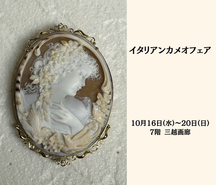 ショップニュース画像