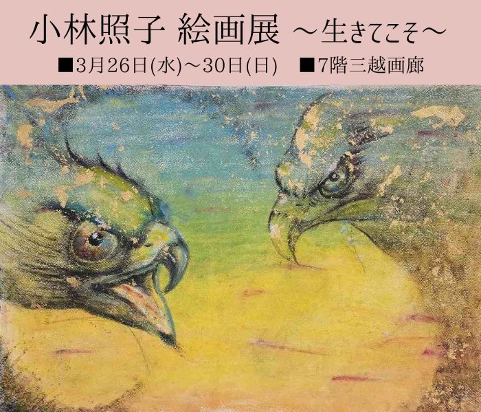 ショップニュース画像