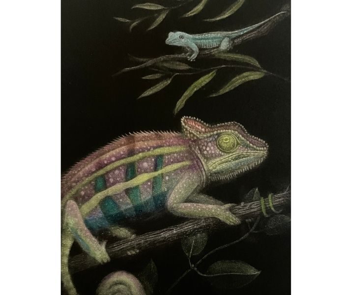～マニエール・ノワール(メゾチント)の世界～長谷川美菜子 銅版画展
  