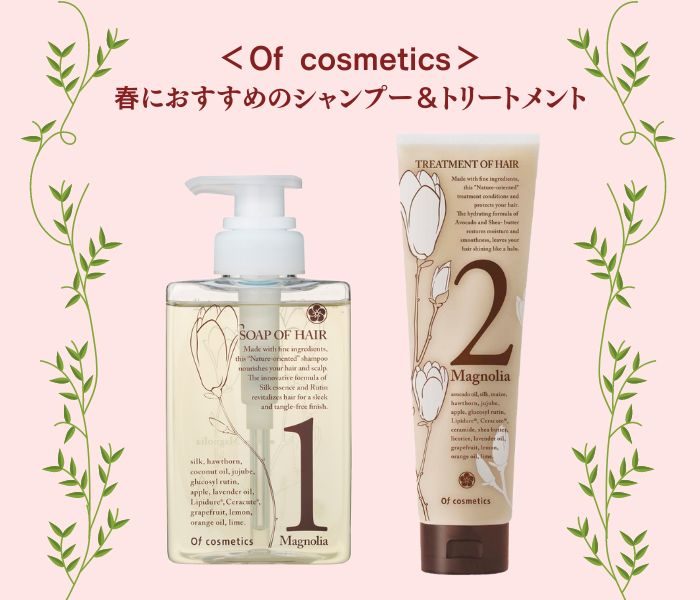 ショップニュース画像
