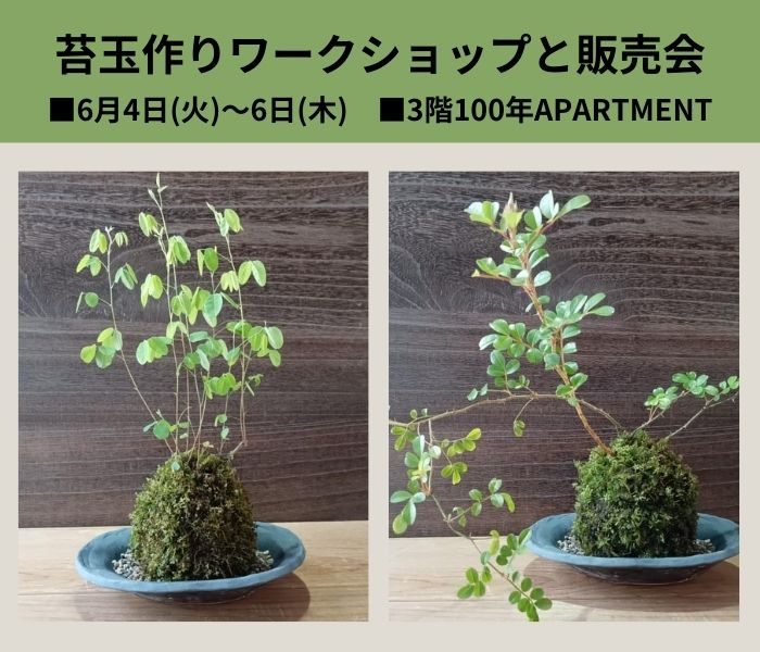 ショップニュース画像