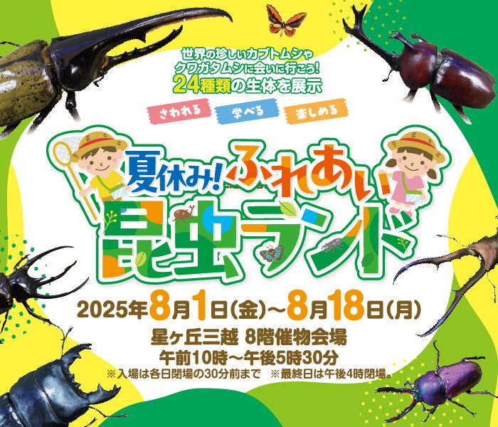 夏休み！ふれあい昆虫ランド