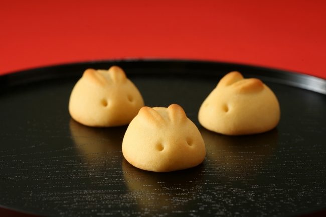 ショップニュース画像