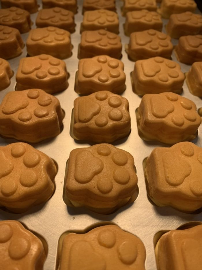 ショップニュース画像