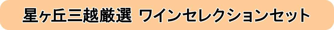 ワインセレクションセット