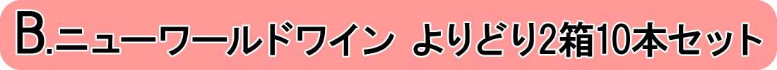ニューワールドワインよりどり2箱10本セット