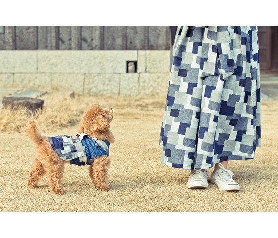 ショップニュース画像