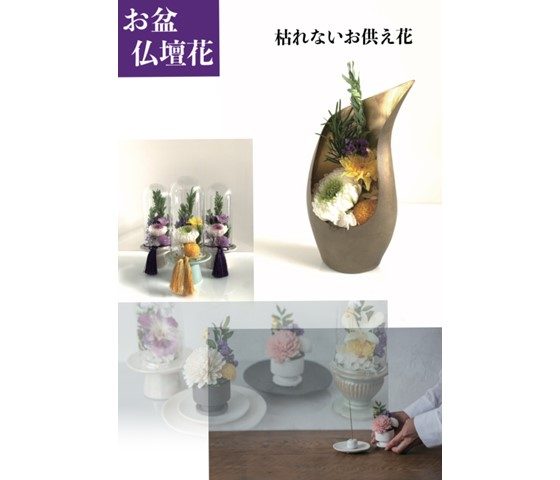 ショップニュース画像