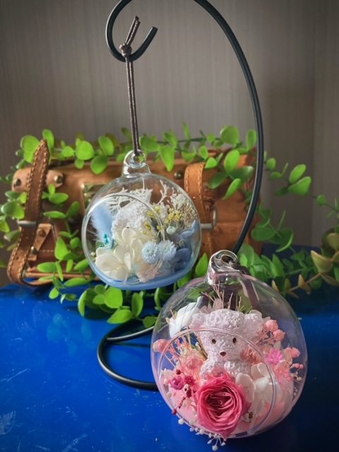 ショップニュース画像