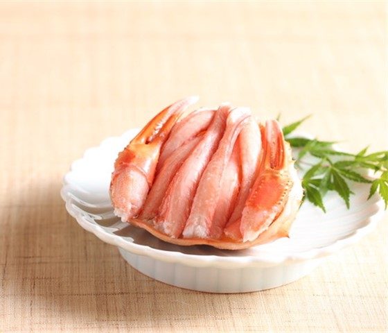 ＜茅ヶ崎叶鳳＞　                