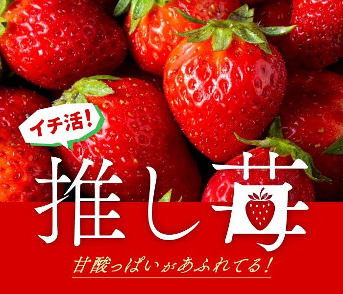 ショップニュース画像