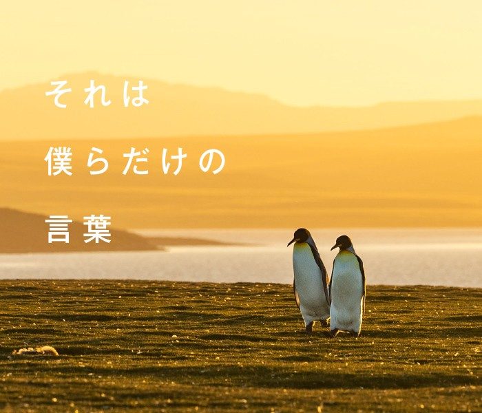 岡田裕介写真展「それは僕らだけの言葉 -Penguins Being Penguins-」