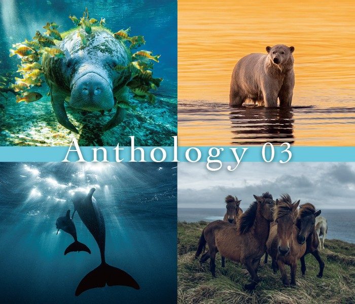 岡田裕介写真展「Anthology03」
