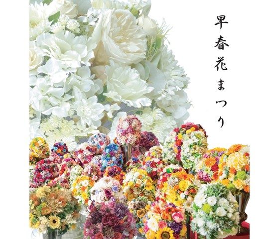 ショップニュース画像