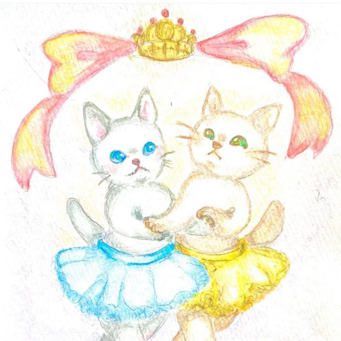 ショップニュース画像