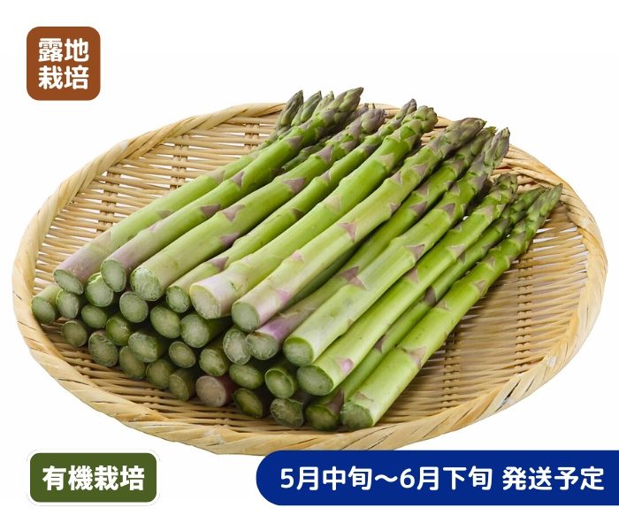 item-list__bg-img