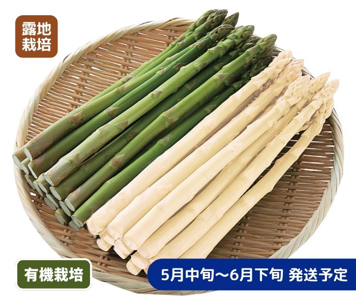 item-list__bg-img