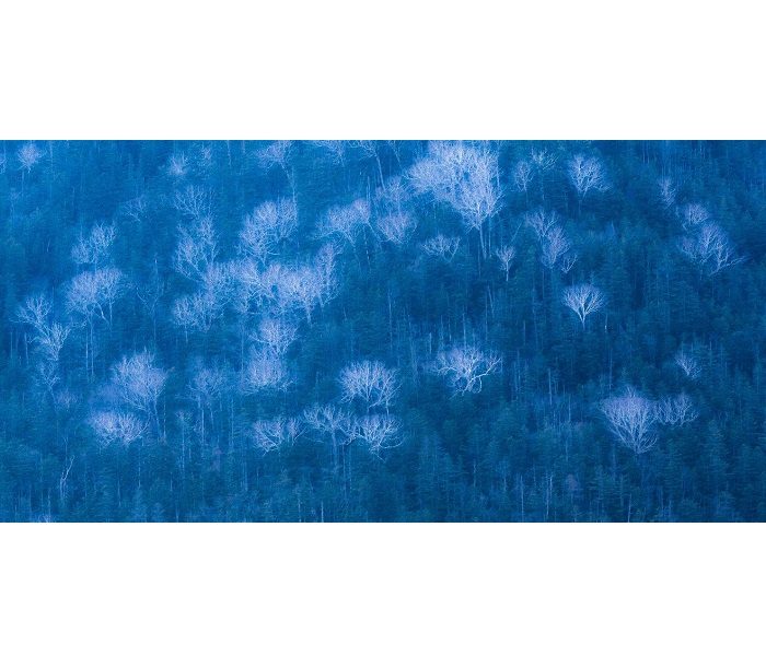 鎌田光彦 写真展 ～Art Landscape～ 鎌田光彦が捉えた自然
  
  