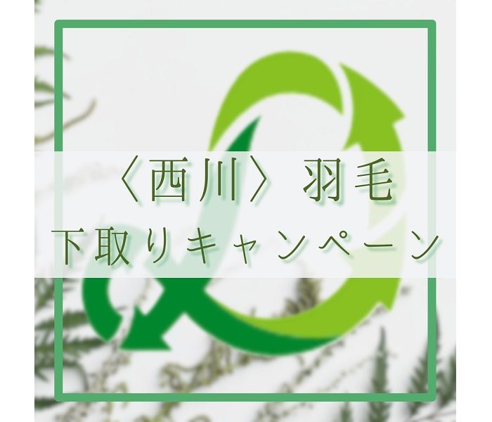 〈西川〉羽毛ふとん下取りキャンペーン
  