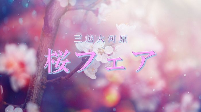 ショップニュース画像