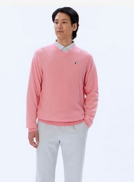 ショップニュース画像