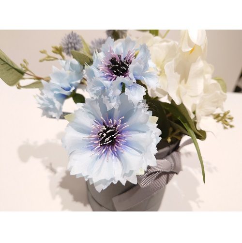 ショップニュース画像