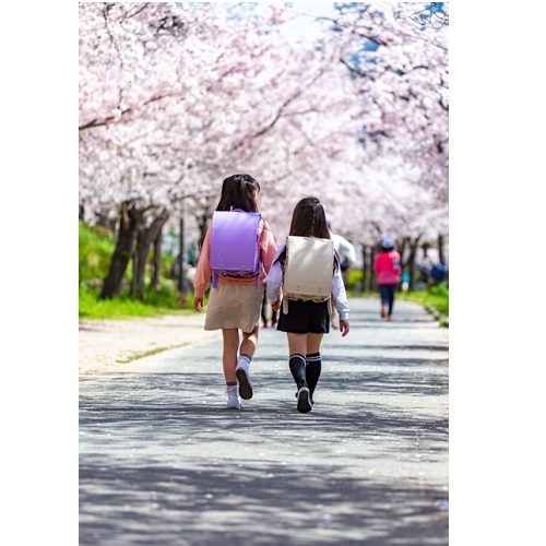 ショップニュース画像
