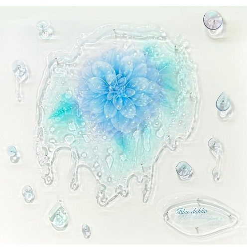 ショップニュース画像