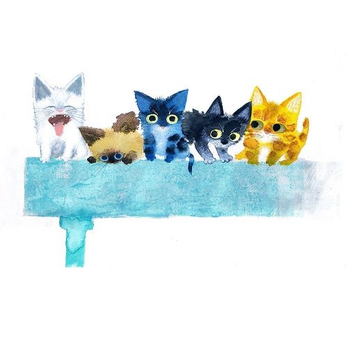 ショップニュース画像