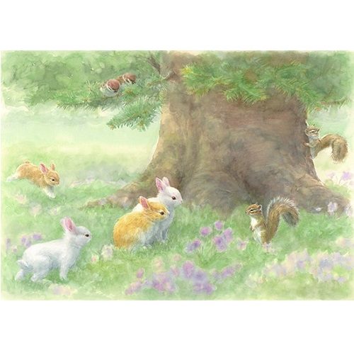 ショップニュース画像