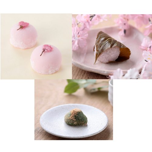 ショップニュース画像